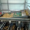 SWEPCO 115 Food Machinery Grease – Stratson.eu